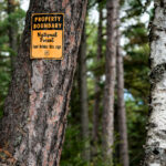 A U.S. Forest Service property boundary sign marks the transition onto Superior National Forest land in northern Minnesota. Signs like this one are posted throughout the region to indicate where federally managed forest begins—part of a system established after the forest’s creation in 1909 to protect timber resources, waterways, and wilderness habitat. Much of Northern Minnesota’s public land is a patchwork of federal, state, county, and private parcels, making boundary markers a practical guide for hunters, hikers, and anyone navigating the extensive backcountry.