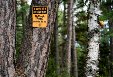 A U.S. Forest Service property boundary sign marks the transition onto Superior National Forest land in northern Minnesota. Signs like this one are posted throughout the region to indicate where federally managed forest begins—part of a system established after the forest’s creation in 1909 to protect timber resources, waterways, and wilderness habitat. Much of Northern Minnesota’s public land is a patchwork of federal, state, county, and private parcels, making boundary markers a practical guide for hunters, hikers, and anyone navigating the extensive backcountry.