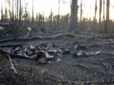 Burnt cans from Greenwood Fire, Superior National Forest