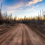 A Forest Service road winds through the burn scar of the 2021 Greenwood Fire in northeastern Minnesota, where charred trunks and open sightlines reveal the scale of the blaze that ultimately consumed more than 27,000 acres of Superior National Forest. The fire began in August 2021 after a lightning strike ignited drought-stressed timber, rapidly expanding under unusually dry and windy conditions. At its peak, roughly 500 firefighters, support staff, and aerial crews worked to protect cabins, roads, and the nearby communities spread across Lake County.

This photograph was made inside the restricted closure zone during the period when the U.S. Forest Service still had nearly 100 personnel assigned to monitoring, repair work, and suppression repair. The skeletal tree canopy and exposed soil illustrate the early stages of ecological recovery—an ongoing process that will shape this section of the Northwoods for decades.