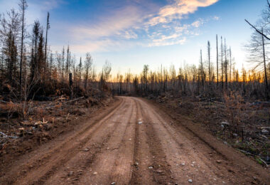 A Forest Service road winds through the burn scar of the 2021 Greenwood Fire in northeastern Minnesota, where charred trunks and open sightlines reveal the scale of the blaze that ultimately consumed more than 27,000 acres of Superior National Forest. The fire began in August 2021 after a lightning strike ignited drought-stressed timber, rapidly expanding under unusually dry and windy conditions. At its peak, roughly 500 firefighters, support staff, and aerial crews worked to protect cabins, roads, and the nearby communities spread across Lake County.

This photograph was made inside the restricted closure zone during the period when the U.S. Forest Service still had nearly 100 personnel assigned to monitoring, repair work, and suppression repair. The skeletal tree canopy and exposed soil illustrate the early stages of ecological recovery—an ongoing process that will shape this section of the Northwoods for decades.