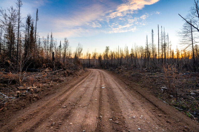 Greenwood Fire Burn Scar Road, Superior National Forest Sunset 4 A Forest Service road traverses the burn scar of the 2021 Greenwood Fire in Superior National Forest, northeastern Minnesota. This wildfire, ignited by a lightning strike in August 2021, consumed over 27,000 acres of drought-stressed timber. The skeletal tree canopy and exposed soil visible along the road illustrate the early stages of ecological recovery in the affected area. During the fire's peak, approximately 500 personnel worked to protect communities and infrastructure, with U.S. Forest Service crews continuing monitoring and repair work in the closure zone after the blaze. This ongoing process will shape the Northwoods landscape for decades.