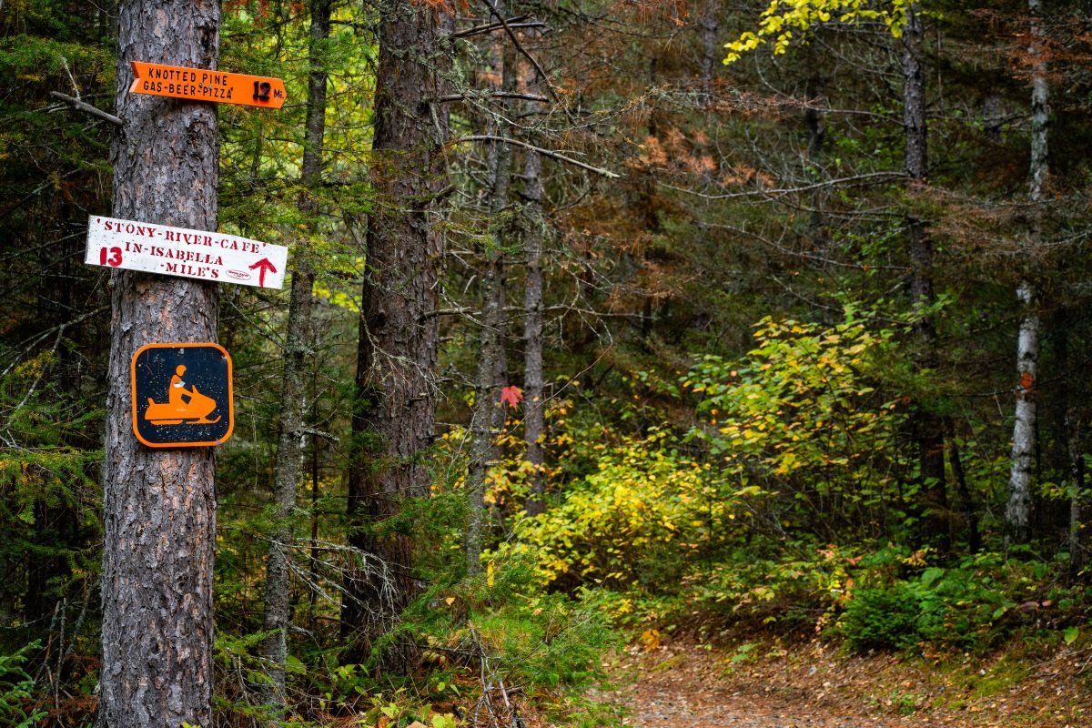 Knotted Pine Bar Sign in Superior National Forest