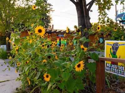 South Minneapolis Sunflowers and George Floyd Square Sign