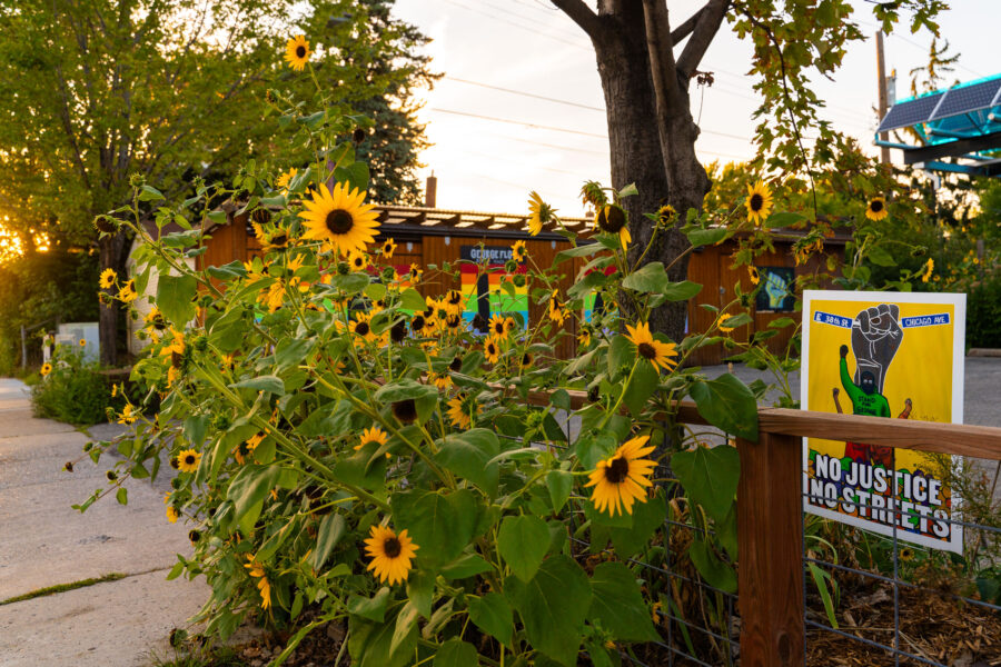 South Minneapolis Sunflowers and George Floyd Square Sign