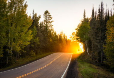 A stretch of forest road in Superior National Forest glows with intense backlight as the sun drops behind the pines, illuminating early-autumn leaves and sending a warm haze across the pavement. This part of the forest lies within the vast Northwoods region of northeastern Minnesota, where mixed stands of birch, aspen, and conifers line quiet two-lane roads leading toward trailheads, lakes, and remote campgrounds. The soft golden light, drifting insects, and dense treeline capture the transition from late summer to fall in one of Minnesota’s most expansive public landscapes—an area managed for recreation, wildlife habitat, and long-term conservation.