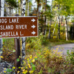 A weathered brown U.S. Forest Service directional sign marks the turnoff for Bog Lake, the Island River, and Isabella Lake within Superior National Forest in northern Minnesota. These destinations sit along a network of remote gravel roads east of Ely and north of Isabella, an area known for its mixed pine–birch forest, quiet canoe routes, and access to the Boundary Waters Canoe Area Wilderness. The cracked reflective surface of the sign hints at decades of harsh winters and summer sun, while the surrounding understory—changing with early autumn color—reflects the rugged, lightly traveled character of this part of the Northwoods.