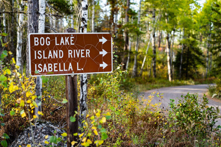 Trail Junction Sign in Superior National Forest 3 A weathered brown U.S. Forest Service directional sign marks the turnoff for Bog Lake, the Island River, and Isabella Lake within Superior National Forest in northern Minnesota. These destinations sit along a network of remote gravel roads east of Ely and north of Isabella, an area known for its mixed pine–birch forest, quiet canoe routes, and access to the Boundary Waters Canoe Area Wilderness. The cracked reflective surface of the sign hints at decades of harsh winters and summer sun, while the surrounding understory—changing with early autumn color—reflects the rugged, lightly traveled character of this part of the Northwoods.