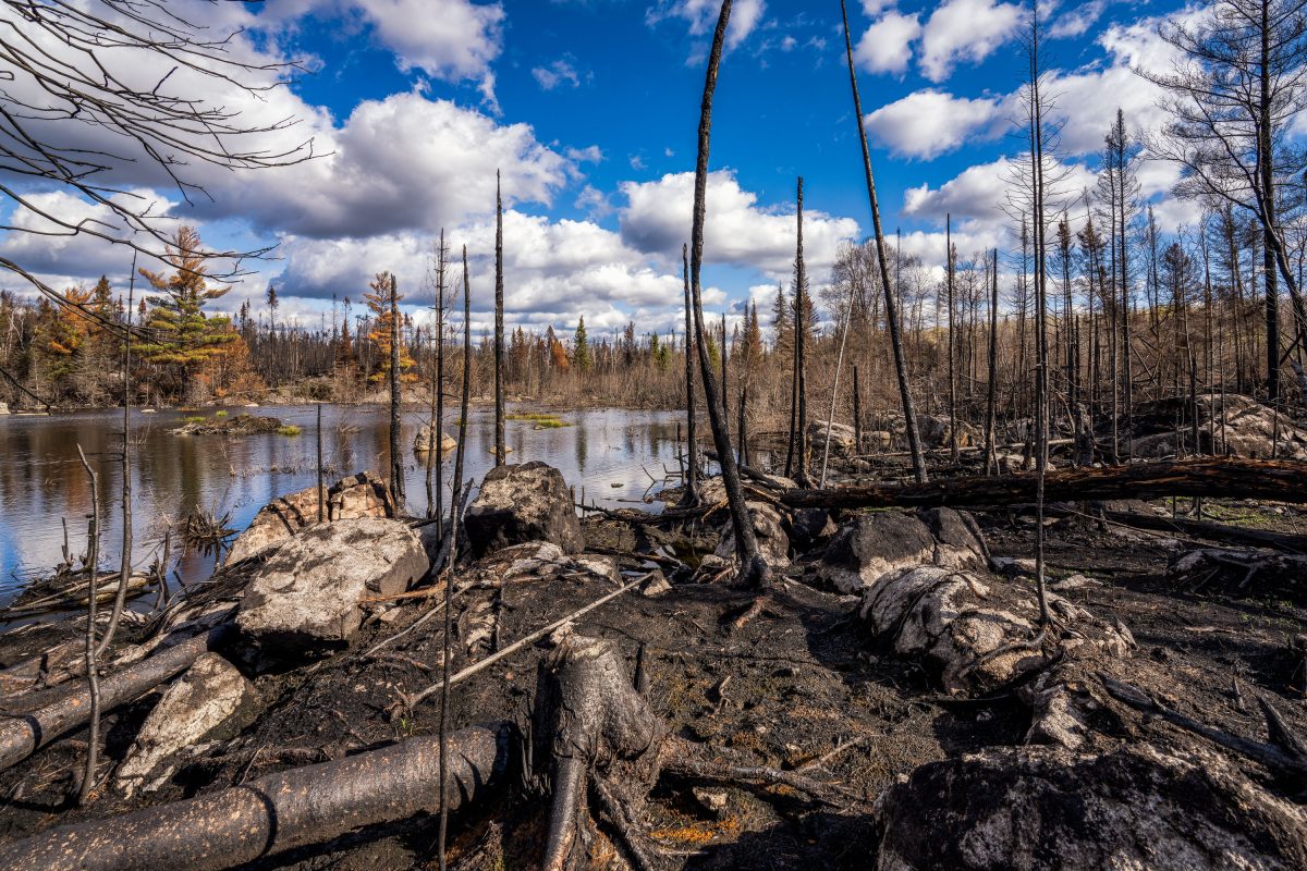 Greenwood Fire damage near Isabella, Minnesota