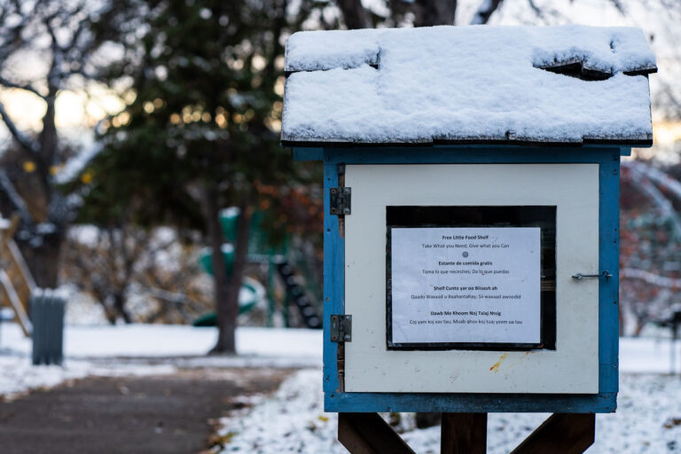 Free Little Food Shelf at Powderhorn Park 1 Free Little Food Shelf at Powderhorn Park during the first snow fall of the season.