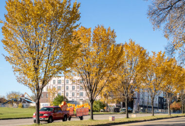 A Victor Martinez "float" and campaign signs seen in North Minneapolis on election day.