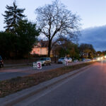 "Vote No On 3" signs on Lyndale Avenue.