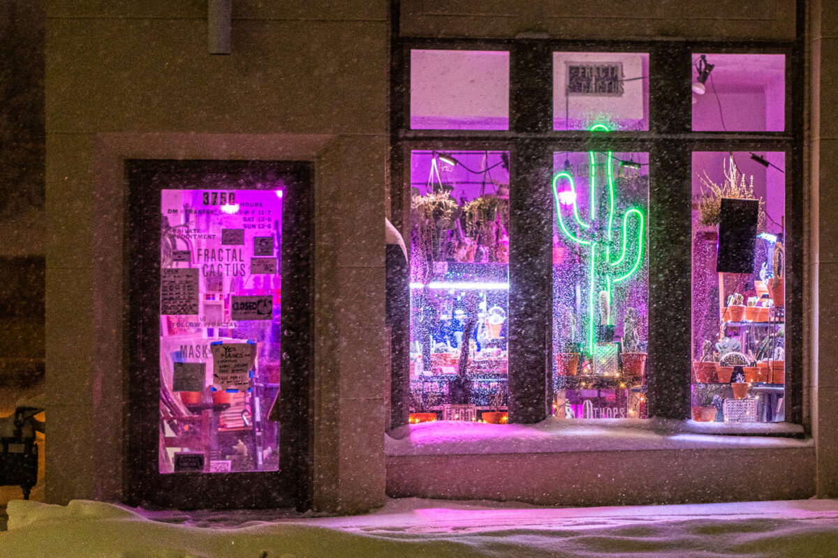 Fractal Cactus in snow Minneapolis