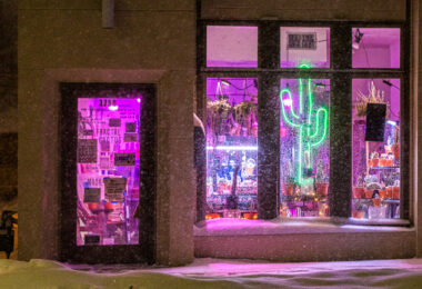 Fractal Cactus store on Minnehaha Avenue during a heavy snowfall.