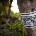 A sign taped to a tree in San Pedro Belize.