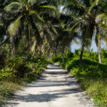 A beachside road on Ambergris Caye Belize.