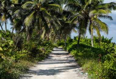 A beachside road on Ambergris Caye Belize.