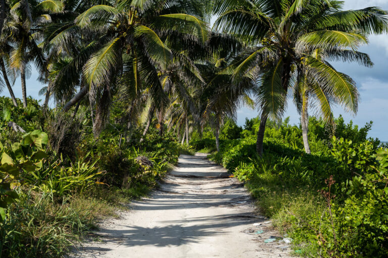 A dirt road in Ambergris Caye, Belize 2 A beachside road on Ambergris Caye Belize.