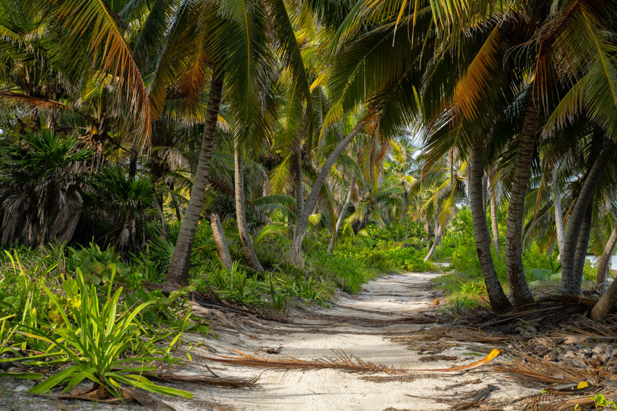 A road on Ambergris Caye in Belize.