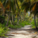 A road on Ambergris Caye in Belize.