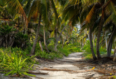 A road on Ambergris Caye in Belize.