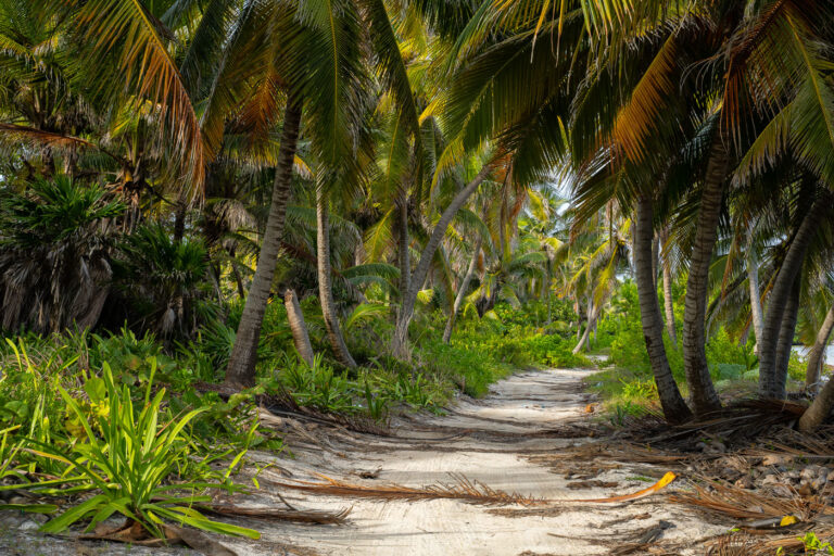 Ambergris Caye, Belize 4 A road on Ambergris Caye in Belize.