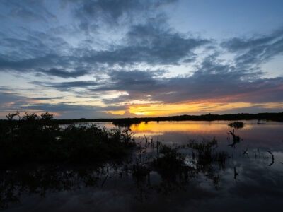 Mangrove Sunset, Ambergris Caye, Belize