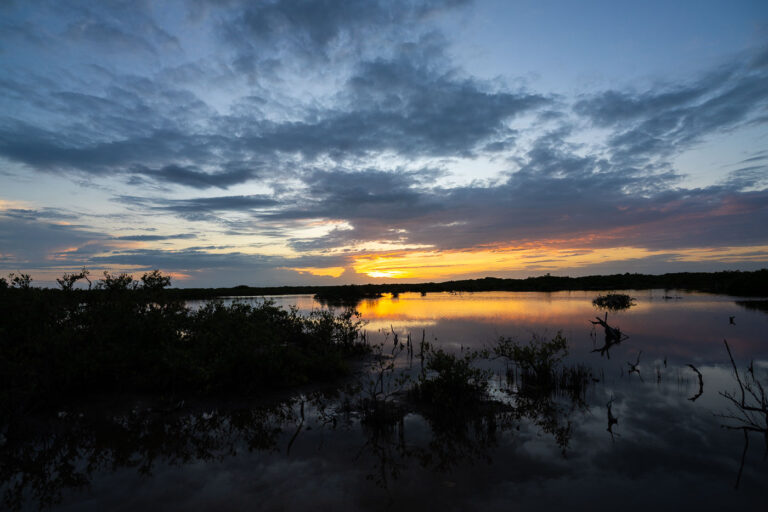 Ambergris Caye, Belize: Mangrove Sunset Over Water 1 Ambergris Caye, Belize: Mangrove Sunset Over Water. The island of Ambergris Caye, located off the coast of Belize in Central America, is characterized by its extensive mangrove ecosystems. These coastal wetlands play a crucial role in protecting shorelines from erosion and storm surges, while also serving as vital habitats for diverse marine and bird life. The sunset over the tranquil waters, reflecting the dramatic clouds and silhouetted mangroves, highlights the natural beauty and ecological importance of this Caribbean environment.