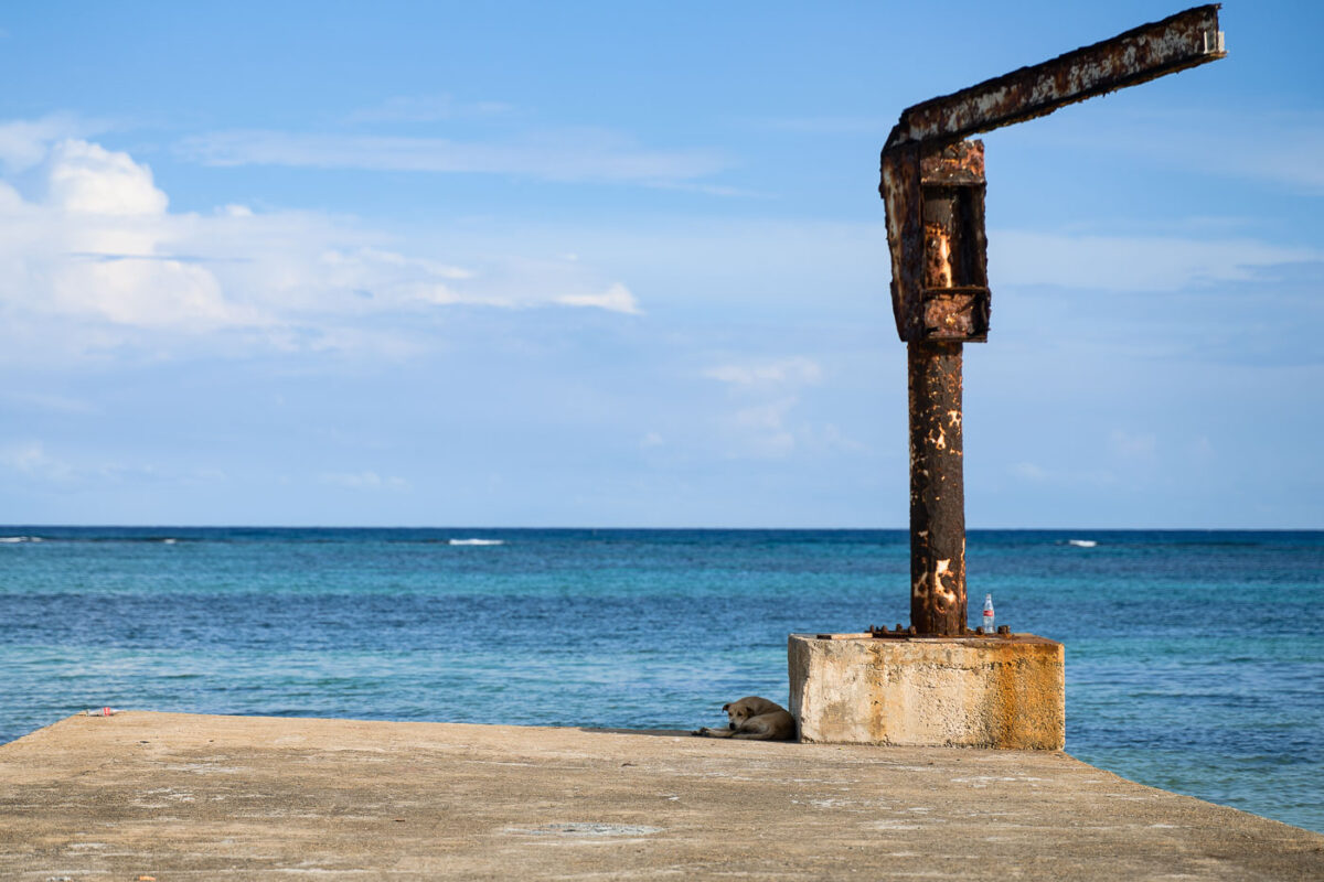 A dog rests on a weathered concrete dock with a rusted metal structure on Ambergris Caye, Belize, by the Caribbean Sea.