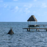 A wooden pier extends into the Caribbean Sea on the eastern shore of Ambergris Caye, topped with a palapa-style shelter commonly found along the island’s waterfront. These simple wooden structures serve both locals and visitors, offering space for fishing, small-boat landings, and relief from the midday sun. Just offshore, the shallow coastal waters give way to the darker blue of the open sea, with the white line of breakers marking the crest of the Belize Barrier Reef—the second-largest reef system in the world and a central part of the island’s history, economy, and marine culture.