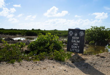 A weathered sign reading “Keep Calm and Don’t Litter” stands at the edge of a mangrove wetland on Ambergris Caye, Belize. These coastal mangrove ecosystems play a critical role in protecting shorelines, supporting marine life, and filtering water, making local anti-littering efforts especially important. The sign, posted by community and conservation groups, reflects ongoing grassroots work to preserve the island’s fragile environment amid steady development and tourism growth.