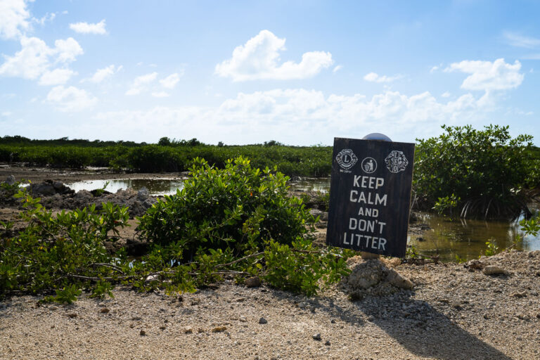 “Keep Calm and Don’t Litter” Sign on Ambergris Caye 2 A weathered sign reading “Keep Calm and Don’t Litter” stands at the edge of a mangrove wetland on Ambergris Caye, Belize. These coastal mangrove ecosystems play a critical role in protecting shorelines, supporting marine life, and filtering water, making local anti-littering efforts especially important. The sign, posted by community and conservation groups, reflects ongoing grassroots work to preserve the island’s fragile environment amid steady development and tourism growth.
