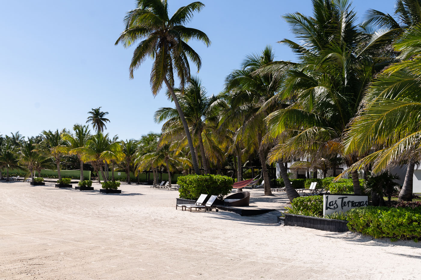 Las Terrazas Resort on Ambergris Caye, Belize, features beachfront accommodations with palm trees and lounge chairs on a sandy shore.