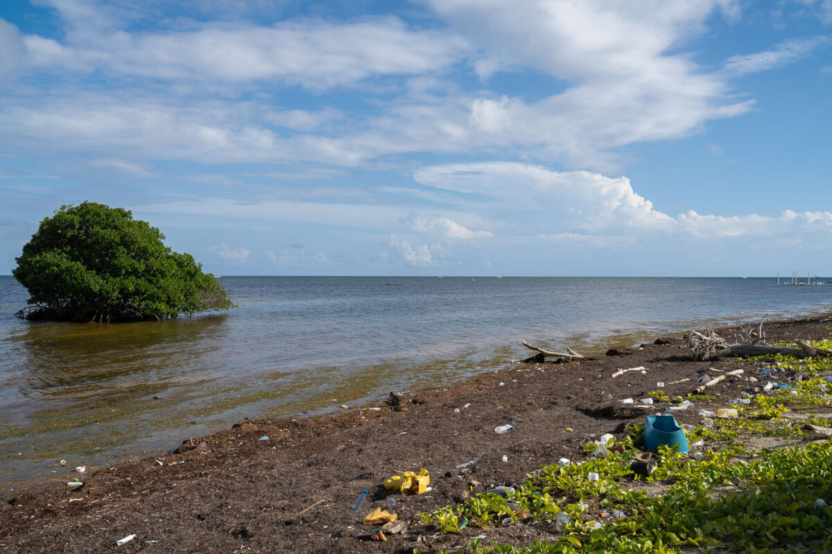 Plastic washed up on the shore of Ambergris Caye, Belize.