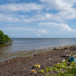 Plastic washed up on the shore of Ambergris Caye, Belize.