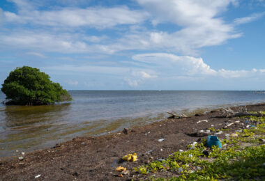 Plastic washed up on the shore of Ambergris Caye, Belize.