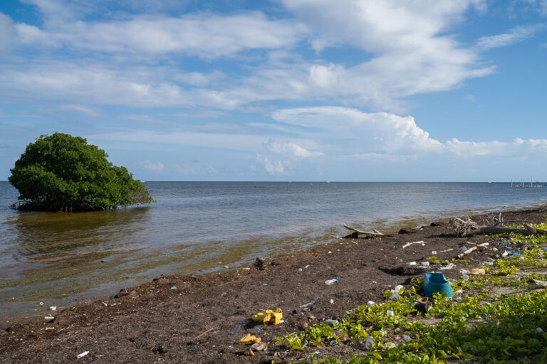 Plastic on the shore in Ambergris Caye 1 Plastic washed up on the shore of Ambergris Caye, Belize.