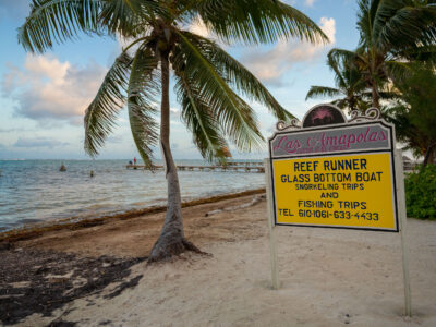 Las Amapolas Reef Runner Tours, Ambergris Caye