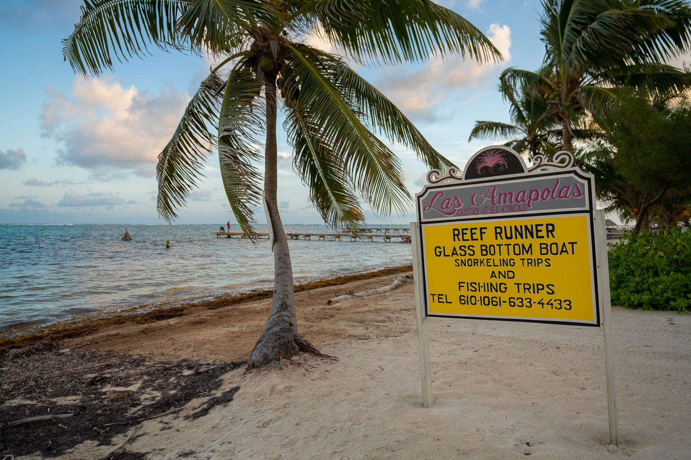 Reef Runner Glass Bottom Boat sign