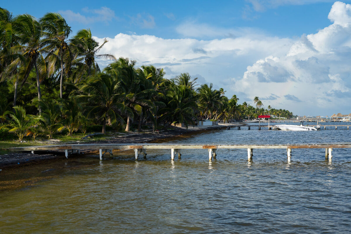 Shoreline and Docks on Ambergris Caye