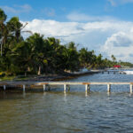 A view along the eastern shoreline of Ambergris Caye, where rows of coconut palms and small wooden docks line the edge of the Caribbean Sea. This stretch of coast reflects the island’s gradual shift from a quiet fishing community to one of Belize’s primary tourism destinations, driven in part by its proximity to the Belize Barrier Reef just a short boat ride offshore. Despite this growth, the outer edges of the island still retain long undeveloped sections of shoreline, shaped by storms, tides, and ongoing efforts to balance tourism with coastal conservation.