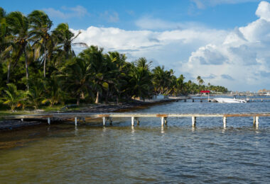 A view along the eastern shoreline of Ambergris Caye, where rows of coconut palms and small wooden docks line the edge of the Caribbean Sea. This stretch of coast reflects the island’s gradual shift from a quiet fishing community to one of Belize’s primary tourism destinations, driven in part by its proximity to the Belize Barrier Reef just a short boat ride offshore. Despite this growth, the outer edges of the island still retain long undeveloped sections of shoreline, shaped by storms, tides, and ongoing efforts to balance tourism with coastal conservation.