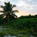 Ambergris Caye, Belize,