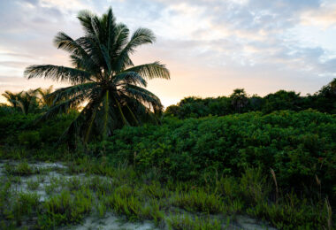 Ambergris Caye, Belize,