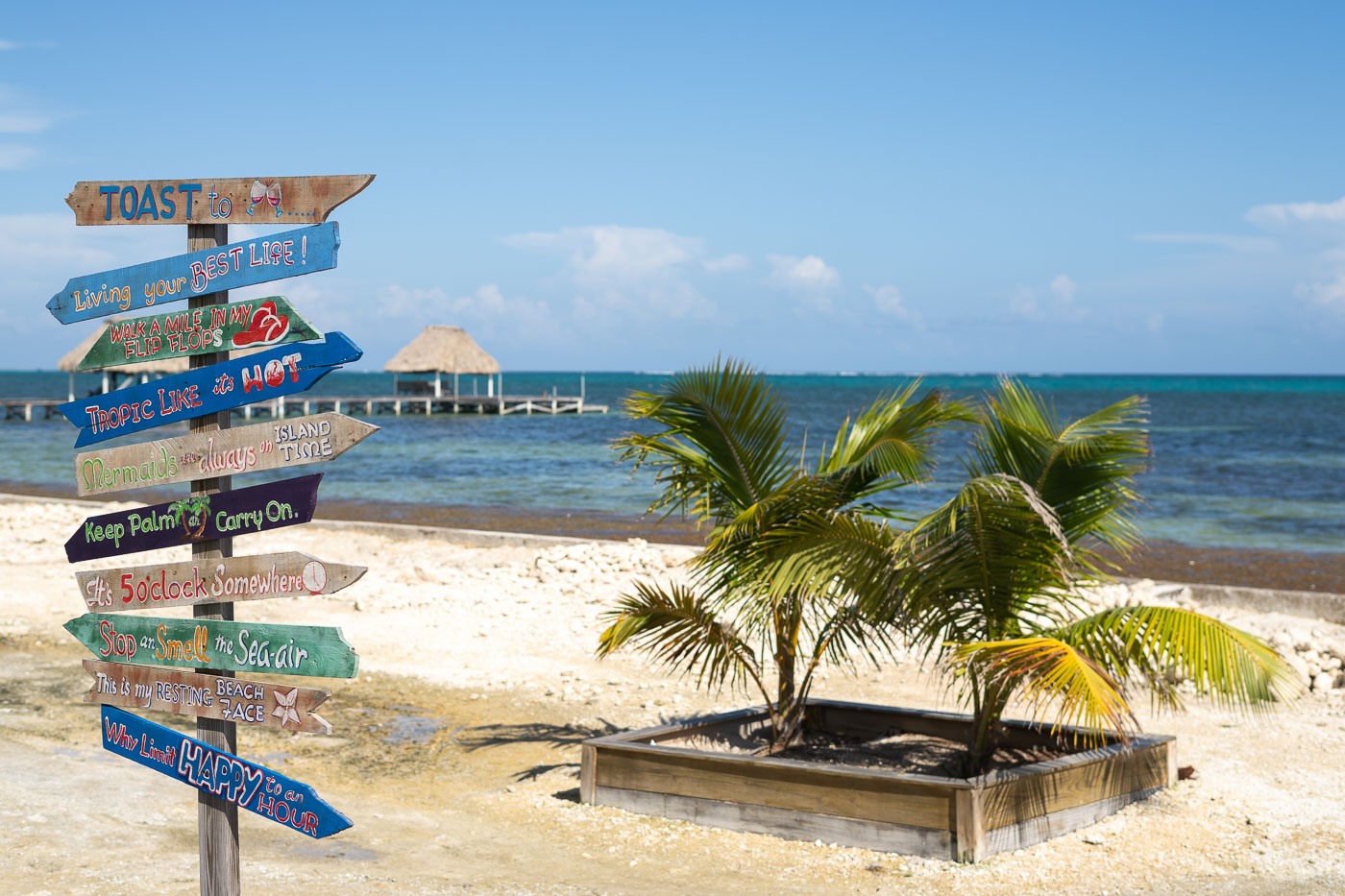 TOAST San Pedro Belize signs