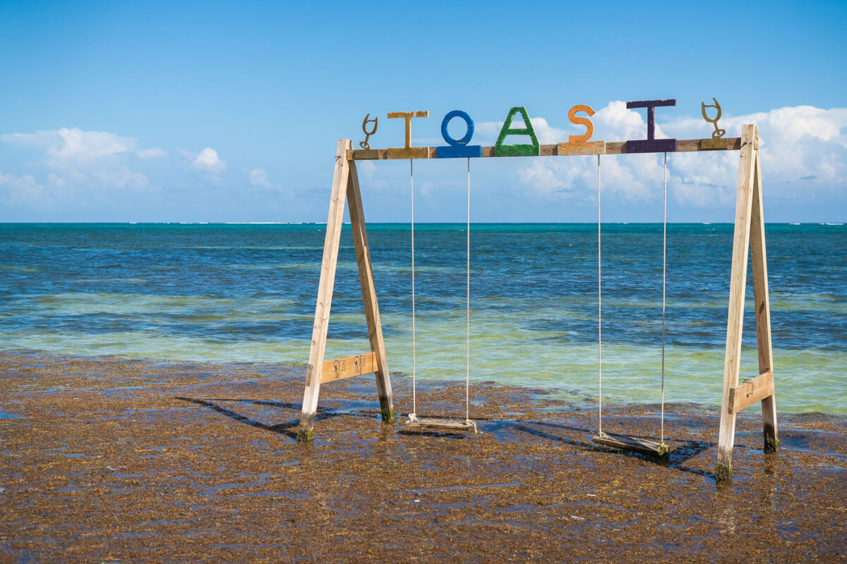 Swings in the water with the reef in background outside of TOAST bar and grill in San Pedro, Belize.