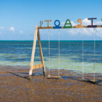 Swings in the water with the reef in background outside of TOAST bar and grill in San Pedro, Belize.