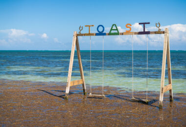 Swings in the water with the reef in background outside of TOAST bar and grill in San Pedro, Belize.