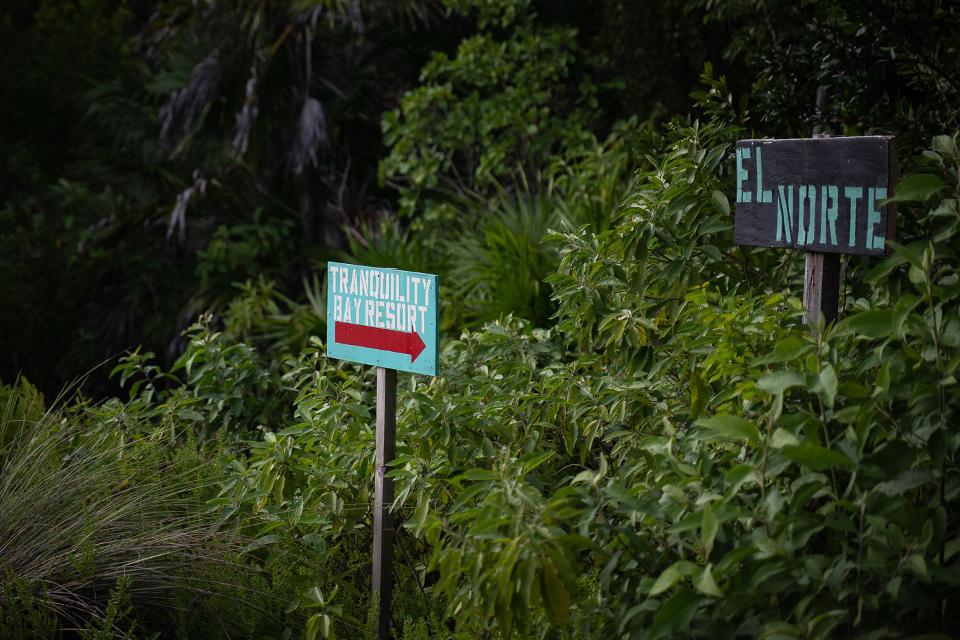 Signs for Tranquility Bay and El Norte on Ambergris Caye in Belize.