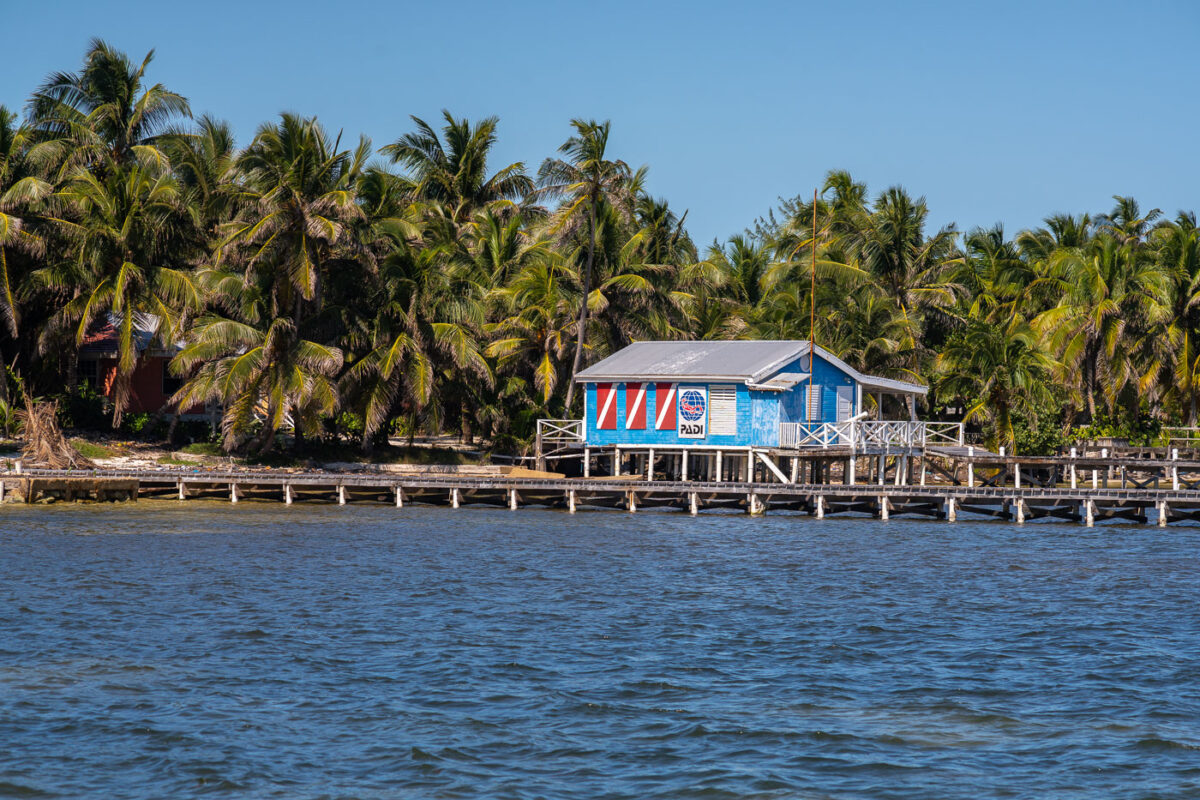 White Sands Dive Shop in San Pedro Belize. https://whitesandsdiveshop.com